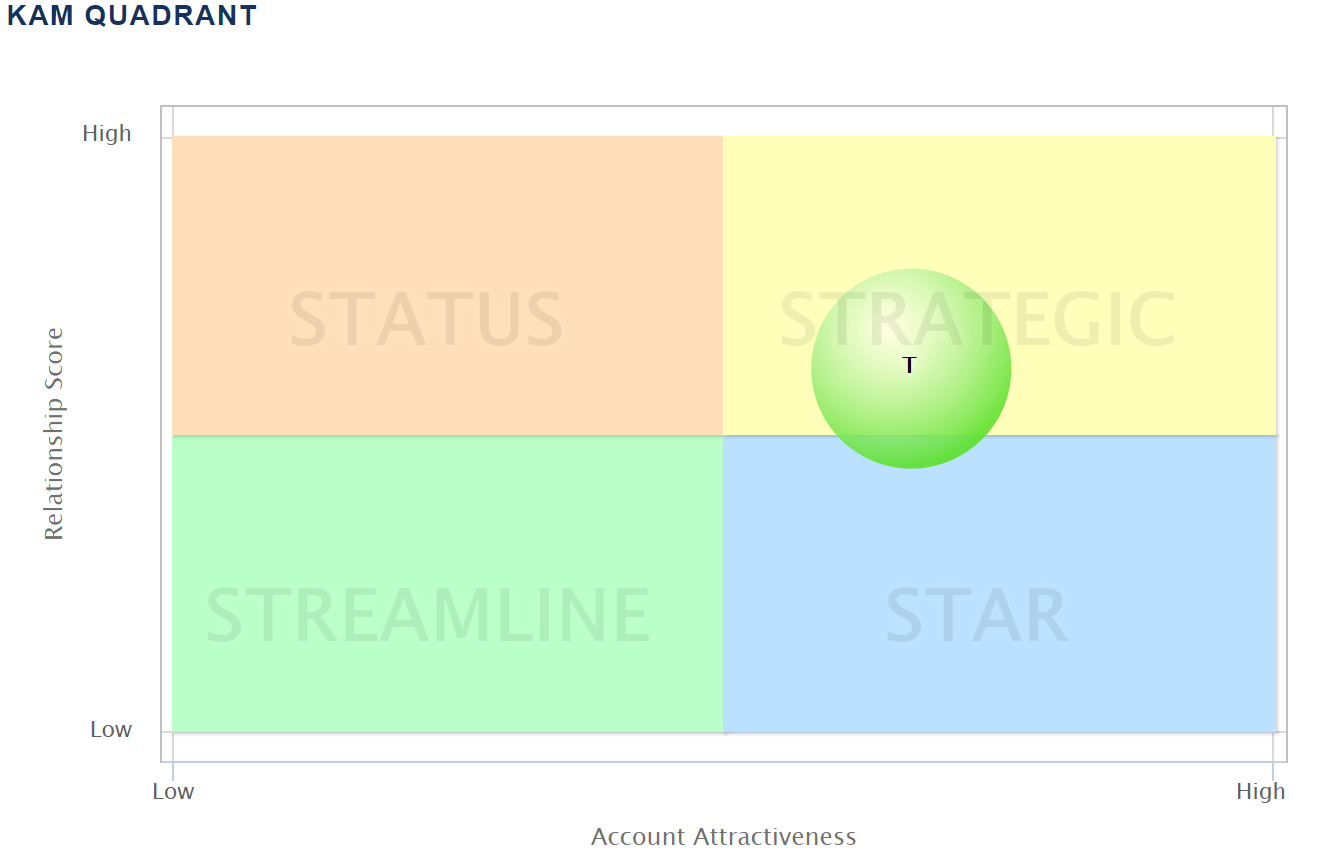 Strategic account plan